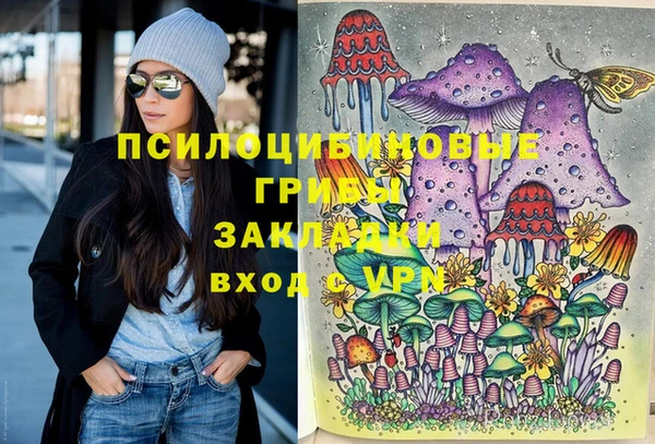 альфа пвп Богородицк