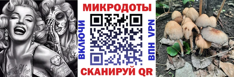 наркошоп  Волгодонск  Псилоцибиновые грибы MAGIC MUSHROOMS 